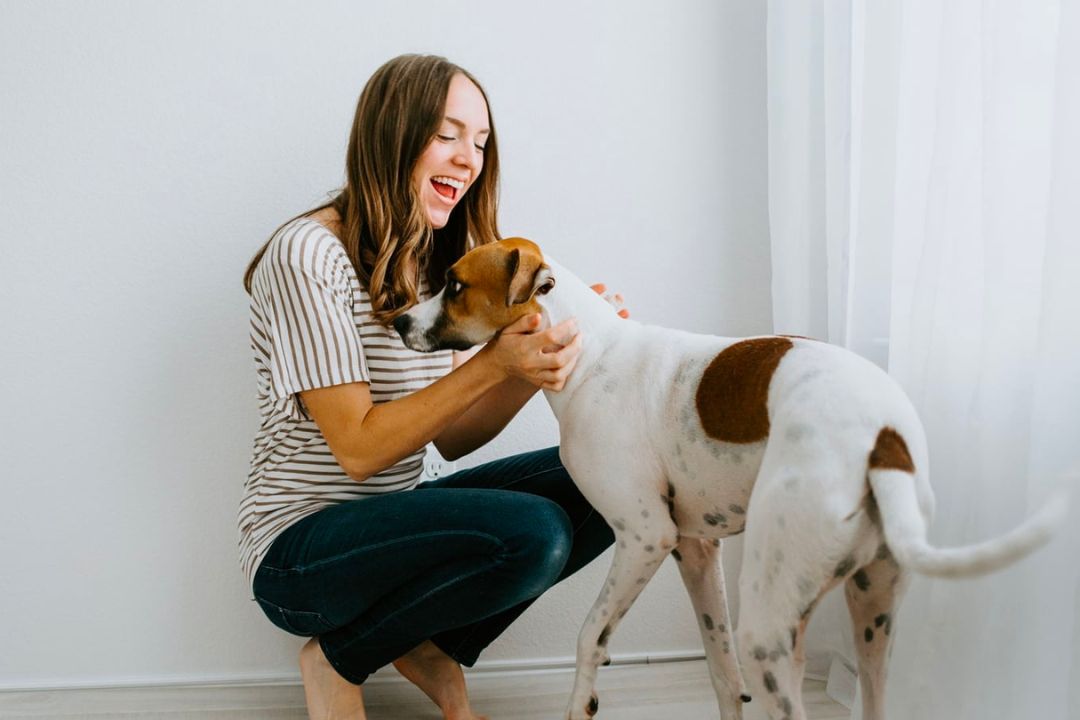 emotional support animal