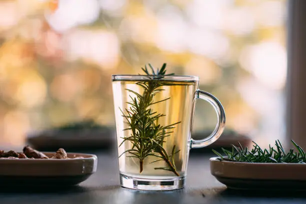 rosemary tea