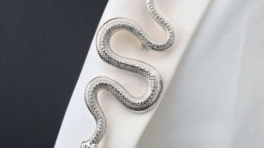 snake brooch