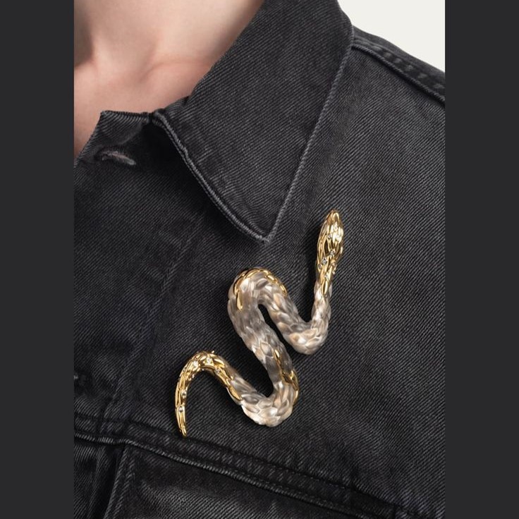 elegant snake brooch